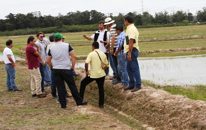 Experimentos na área de solos