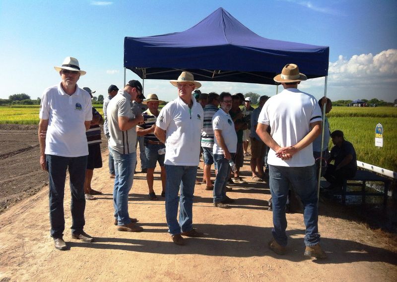 Dia de Campo em Camaquã