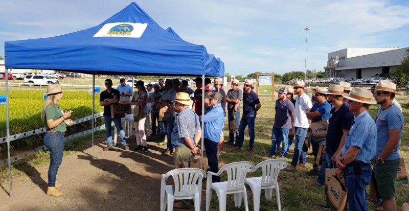 Dia de Campo em Dom Pedrito reúne 442 pessoas - IRGA