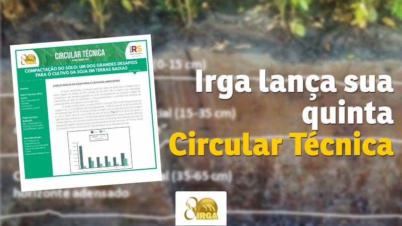 circular 05 site