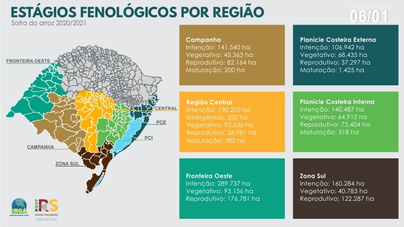 Estágio fenológicos 06 01 21