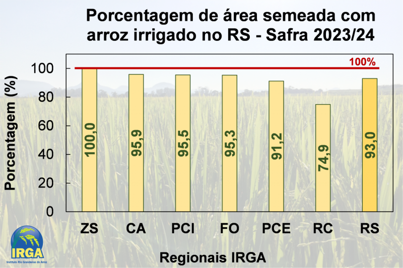 Evolução da semeadura do arroz no RS, baseada nos dados coletados até o dia 13/12/2023 / Fonte: DATER/Nates/IRGA