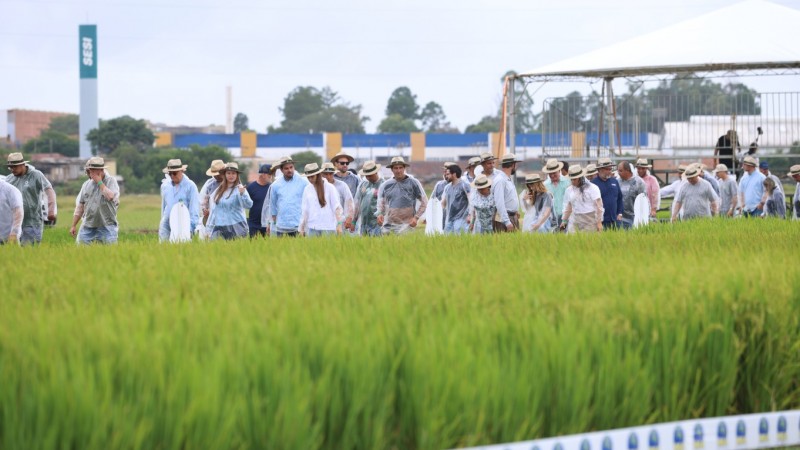 Grupo de produtores visitando a Estação Experimental do Arroz, em Cachoeirinha. 