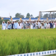 Grupo de produtores visitando a Estação Experimental do Arroz, em Cachoeirinha. 