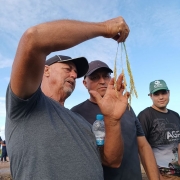 Irga participa do 8º Dia de Campo da Eckert Agronegócios 