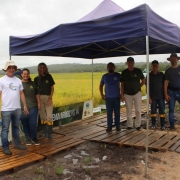 Irga participa do 8º Dia de Campo da Eckert Agronegócios 