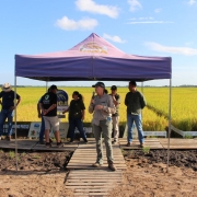 Irga participa do 8º Dia de Campo da Eckert Agronegócios 