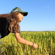 Irga participa do 8º Dia de Campo da Eckert Agronegócios 