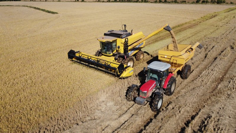 Entre as seis regiões produtoras, a Planície Costeira Externa foi a primeira a concluir totalmente os trabalhos de campo