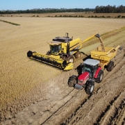 Entre as seis regiões produtoras, a Planície Costeira Externa foi a primeira a concluir totalmente os trabalhos de campo
