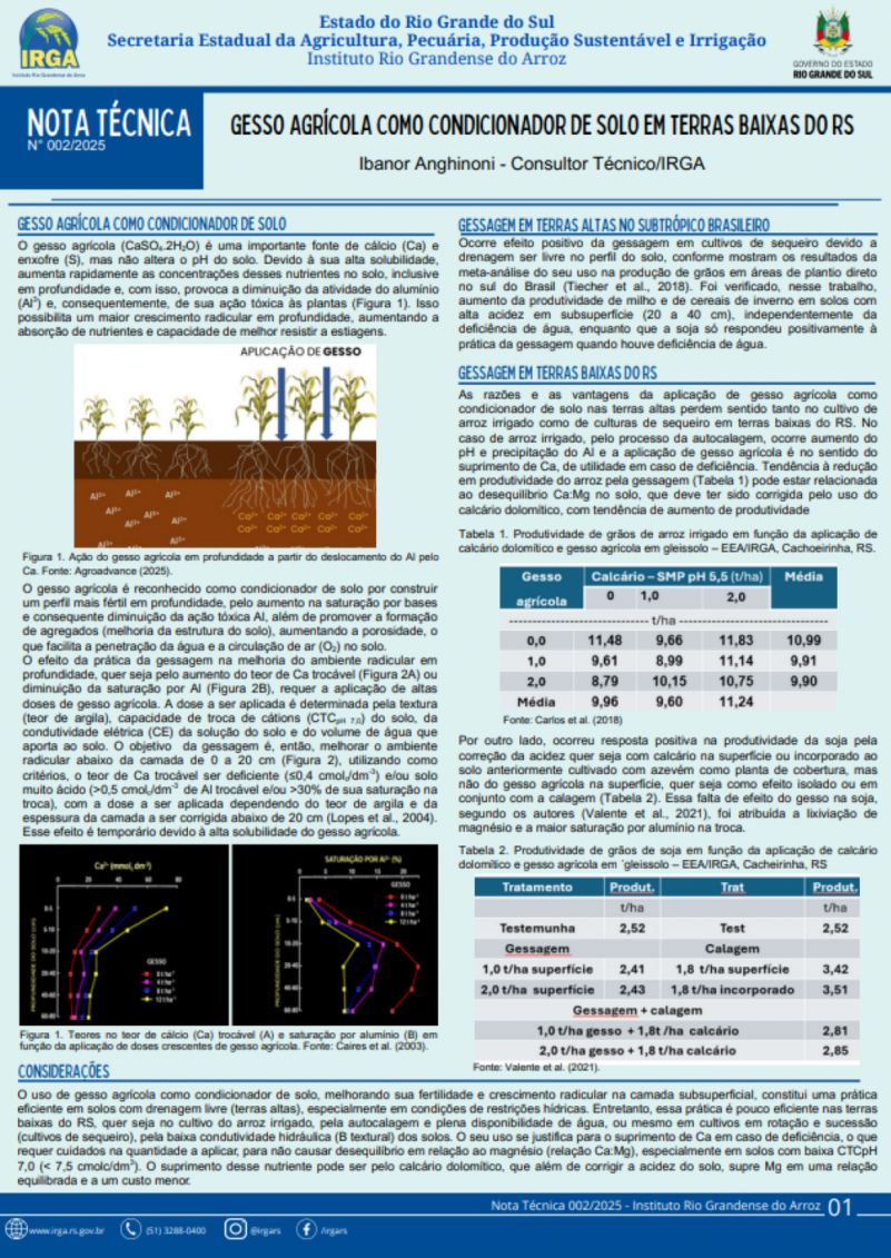 Nota Técnica 002 2025