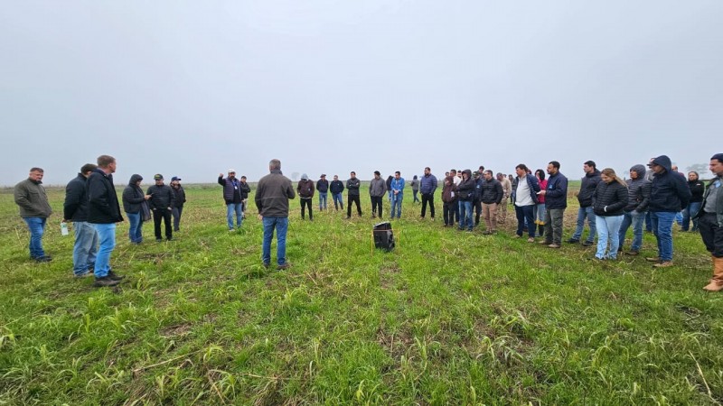 Atividade vai ao encontro das diretrizes do Sistema Arroz RS14, que alia o aumento da produtividade à sustentabilidade