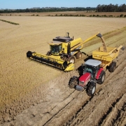 Confira o ranking, por toneladas, dos 10 maiores produtores de arroz do estado e os cinco maiores produtores por região 