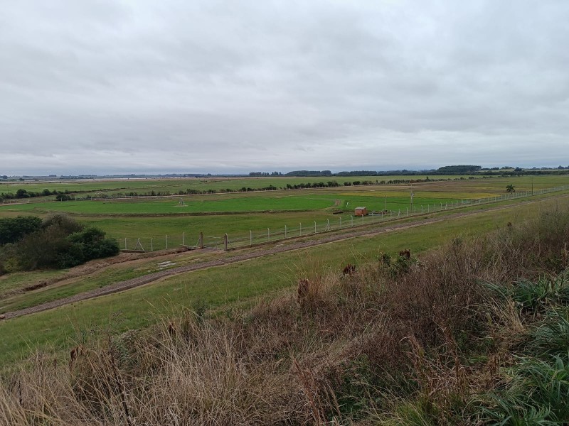 Área experimental próxima a Barragem do Capané