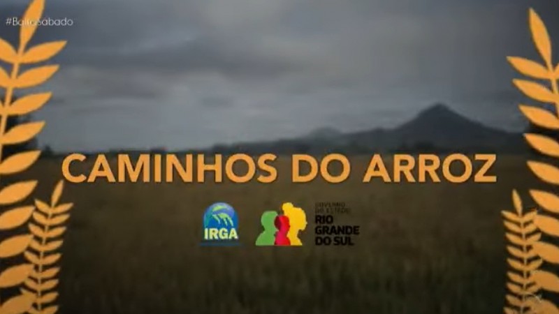 Caminhos dos Arroz