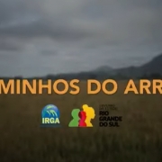 Caminhos dos Arroz