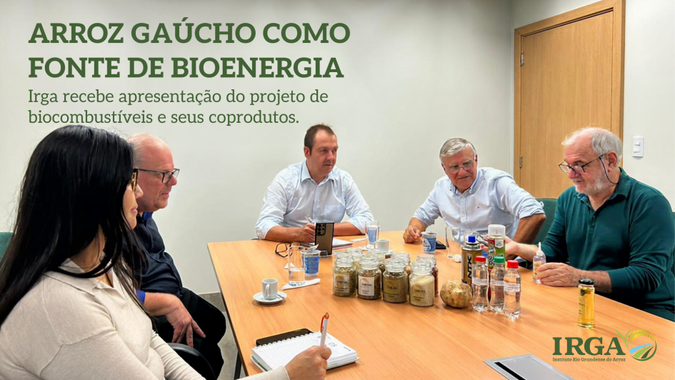 Debate sobre bioenergia