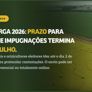 Elei&ccedil;&otilde;es Irga 2026/2029