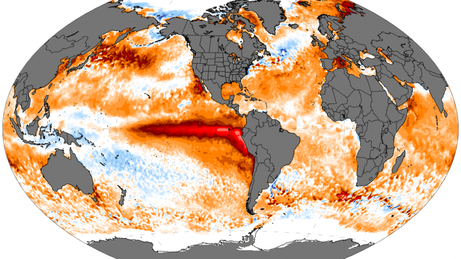 Mapa global da anomalia da Temperatura da Superf&iacute;cie do Mar, mostrando regi&otilde;es mais quentes (tons de laranja/vermelho).