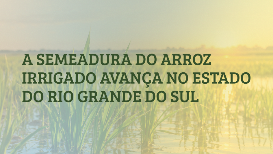 capa semeadura