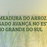 capa semeadura