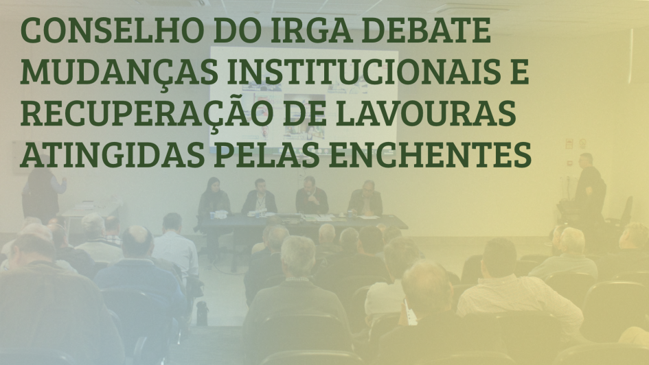 C&oacute;pia de Plan&iacute;cie Costeira Interna 13 248 ha