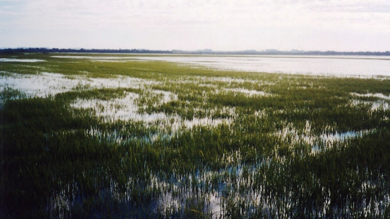 20151001165358aa0130-site.jpg